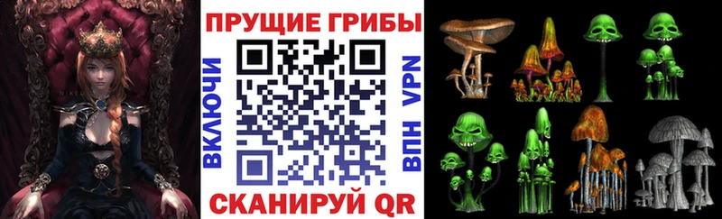 Галлюциногенные грибы Cubensis  закладки  Новокузнецк 